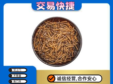 乌海回收散虫草